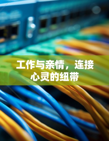 快连加速器下载 第127页