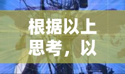 根据以上思考，以下是解决使用私人设置VPN禁令的问题的详细步骤