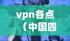 vpn各点(中国四个主要网络运营商)之间的互访通常指的是运营商之间进行的技术交流和合作,分享最新的网络技术、产品、服务和解决方案。这些互访可能包括以下内容