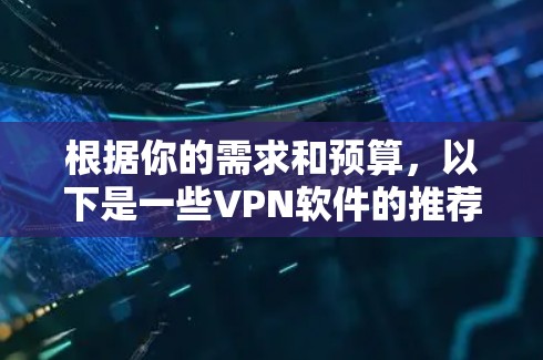 根据你的需求和预算，以下是一些VPN软件的推荐和评估