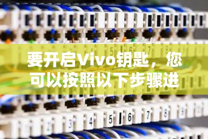 要开启Vivo钥匙，您可以按照以下步骤进行操作