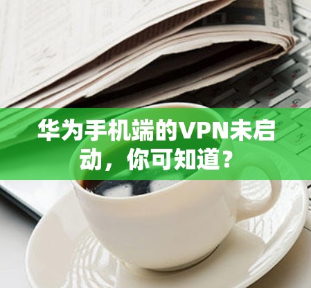 华为手机端的VPN未启动，你可知道？