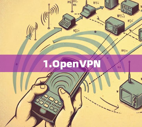 1.OpenVPN
