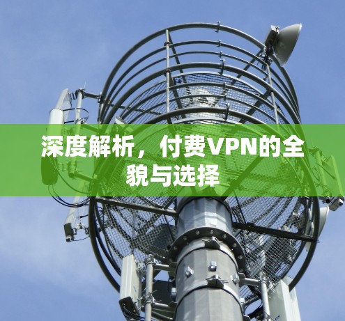 深度解析,付费VPN的全貌与选择
