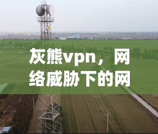 灰熊vpn,网络威胁下的网络设备安全守护者