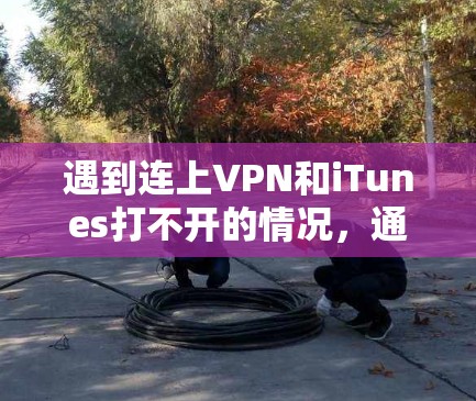遇到连上VPN和iTunes打不开的情况,通常需要从多个方面进行检查和处理。以下是解决这个问题的步骤