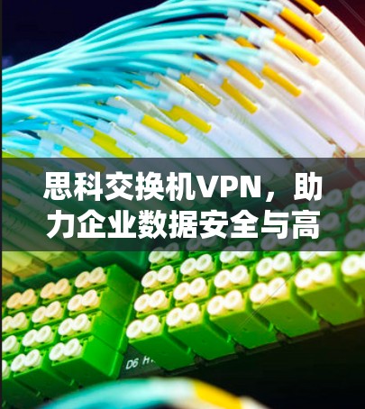 思科交换机VPN,助力企业数据安全与高效传输