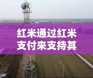 hgf9511443 第49页