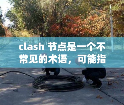 clash 节点是一个不常见的术语,可能指的是两种不同的概念的组合或特定的编程、系统或库中的冲突场景。以下是一些可能的解释