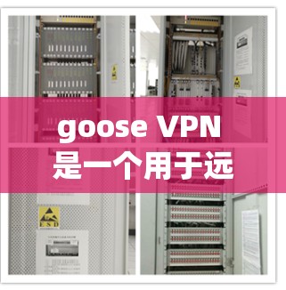 goose VPN 是一个用于远程访问计算机的工具，旨在提供安全和便捷的VPN连接。以下是关于 goose VPN 的详细介绍