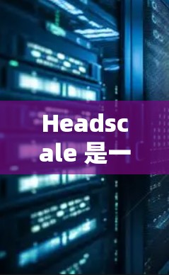 Headscale 是一个支持多线程和异步多线程的云服务器框架，广泛用于异步开发、游戏开发、视频会议、视频通话等场景。如果你需要了解 Headscale 的服务器配置，以下是一个详细的指南