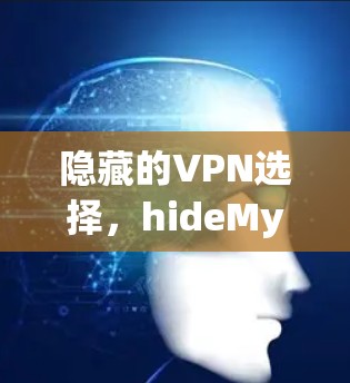 隐藏的VPN选择,hideMyAss在现代网络环境中的表现与推荐