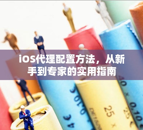 iOS代理配置方法，从新手到专家的实用指南