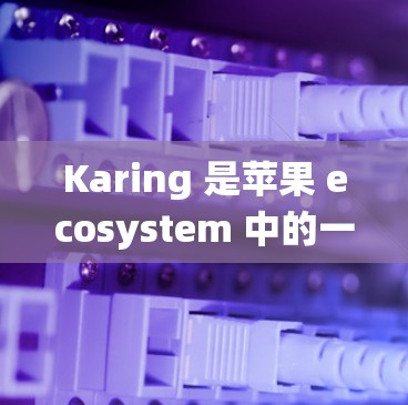 快连加速器下载 第13页
