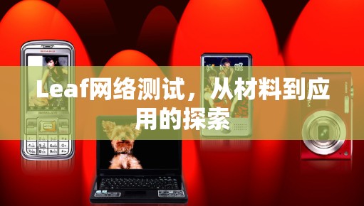 Leaf网络测试,从材料到应用的探索