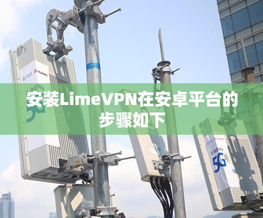 安装LimeVPN在安卓平台的步骤如下