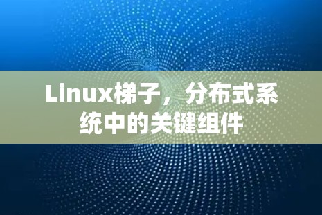 Linux梯子，分布式系统中的关键组件