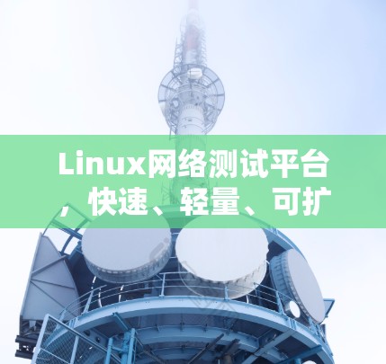 Linux网络测试平台,快速、轻量、可扩展的网络测试解决方案