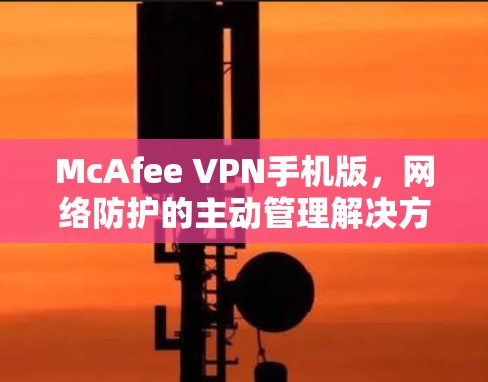 McAfee VPN手机版,网络防护的主动管理解决方案
