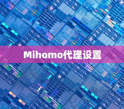 Mihomo代理设置