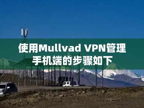 使用Mullvad VPN管理手机端的步骤如下