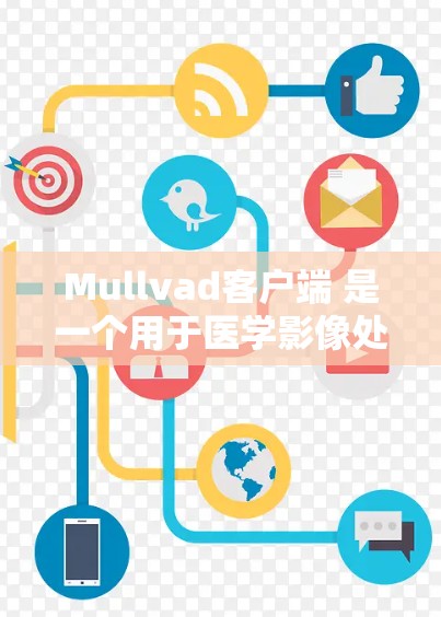 Mullvad客户端 是一个用于医学影像处理的工具，通常用于在 Windows 环境中运行。以下是设置 Mullvad客户端 的基本步骤