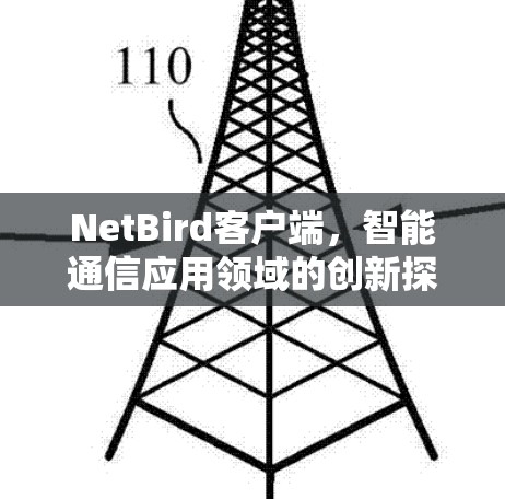 NetBird客户端，智能通信应用领域的创新探索