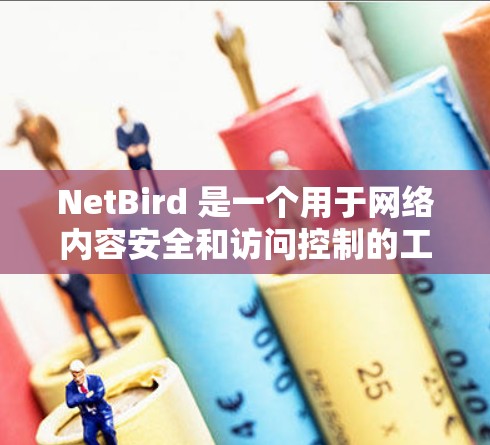 NetBird 是一个用于网络内容安全和访问控制的工具,主要用于管理网站的访问权限和内容安全策略。以下是关于 NetBird 连接测试的一些常见场景和测试方法