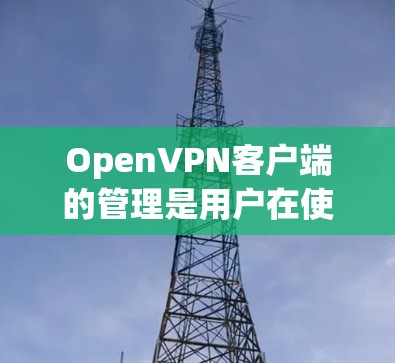OpenVPN客户端的管理是用户在使用该工具时需要考虑的关键因素之一。以下是对OpenVPN客户端的用户配置说明,帮助用户更好地管理客户端,确保安全和高效的连接