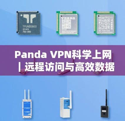 Panda VPN科学上网|远程访问与高效数据传输的全新解决方案