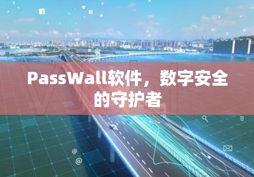 PassWall软件，数字安全的守护者