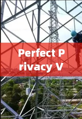 Perfect Privacy VPN 的节点测试和线路分析可以帮助用户了解其在不同网络环境下的表现。以下是基于测试结果的总结和优化建议