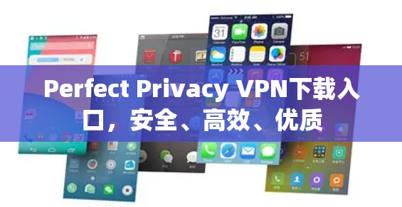 Perfect Privacy VPN下载入口，安全、高效、优质