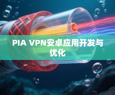 PIA VPN安卓应用开发与优化