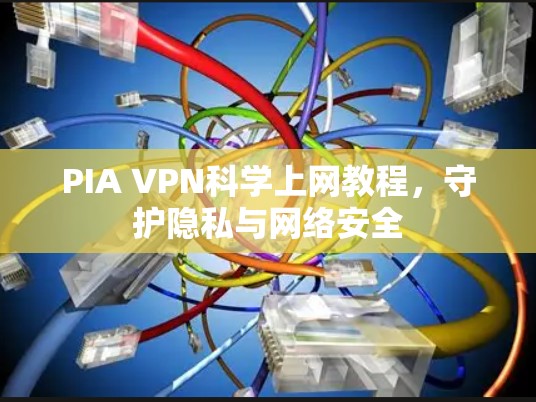 PIA VPN科学上网教程,守护隐私与网络安全