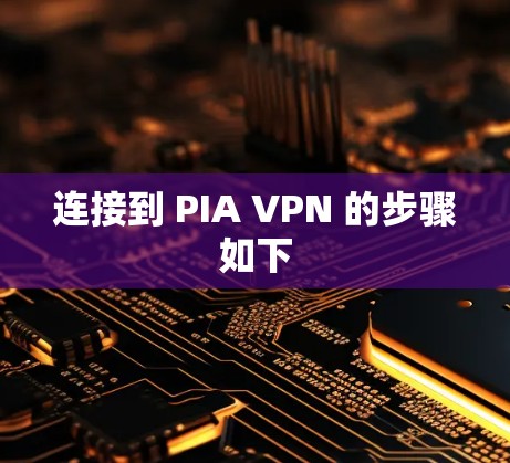 连接到 PIA VPN 的步骤如下