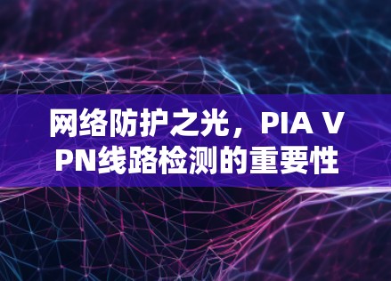 网络防护之光，PIA VPN线路检测的重要性