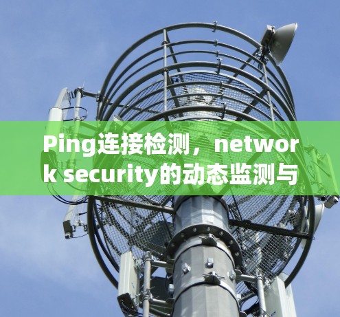 Ping连接检测，network security的动态监测与持续优化