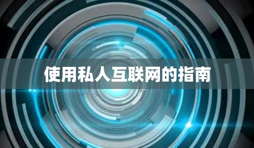 使用私人互联网的指南