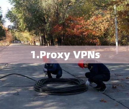 1.Proxy VPNs
