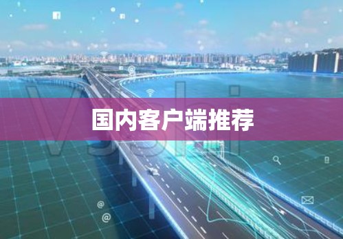 国内客户端推荐