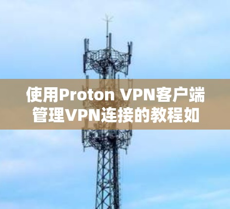 使用Proton VPN客户端管理VPN连接的教程如下
