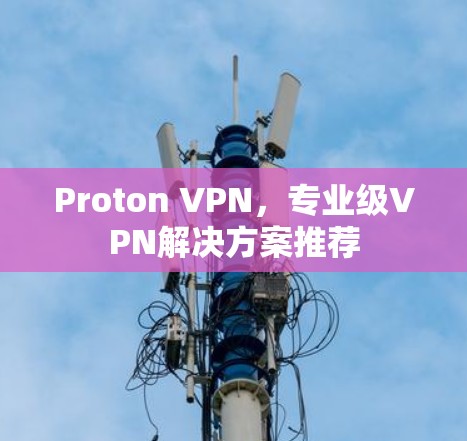 Proton VPN，专业级VPN解决方案推荐