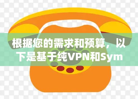 根据您的需求和预算，以下是基于纯VPN和SymantecVPN的综合分析